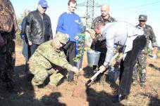 Сегодня в Сакском районе высадили более 1000 саженцев