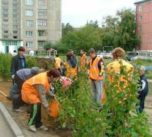 Жителям Ялты предложили придумать план озеленения города