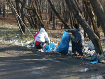 Завтра весь Крым выйдет на уборку территорий