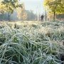 В Ночное Время в Крыму ожидаются заморозки