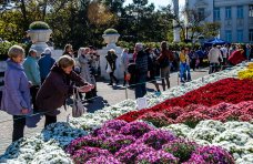 В Севастополе впервые проходит бал хризантем