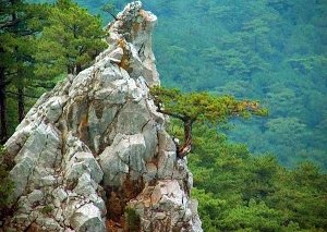 Тропы в Ялтинском заповеднике безопасны для посещения