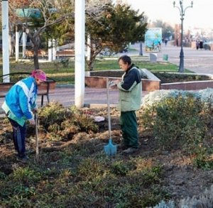 На набережной Феодосии решили высалить 2543 кустов роз