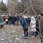 100 саженцев редчайших деревьев в обмен на 14 тонн макулатуры