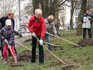 Севастопольцы два месяца будут убирать город