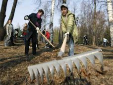 В Алуште проведут субботники