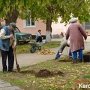 Керченских предпринимателей просят благоустроить прилегающую территорию