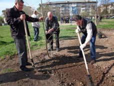 В районе Пневматики в Столице Крыма проведут субботник