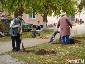 В Керчи пройдёт масштабный субботник