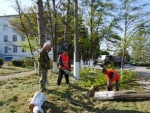 Бахчисарай засадят елями и соснами