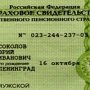 Надо оформить СНИЛСы, иначе — никаких гарантий