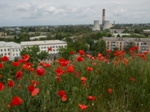 Вместо города — городской округ, вместо села — сельское поселение