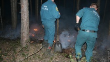 В Севастополе убили и сожгли женщину