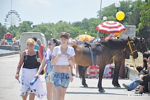 Сегодня туляки будут продавать свой товар на набережной Керчи