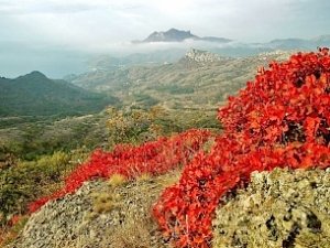 Погода в Крыму на последний день сентября