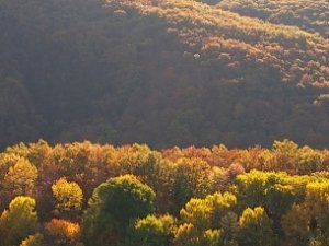 Бархатное осеннее тепло придёт в Крым в выходные