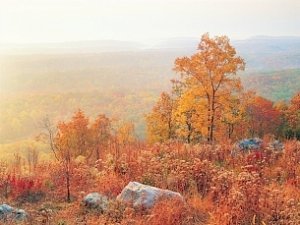 Бархатное тепло + туман. Прогноз погоды на уикенд в Крыму