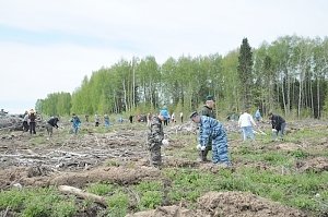 Сотрудники полиции провели мероприятия, направленные на профилактику природных пожаров