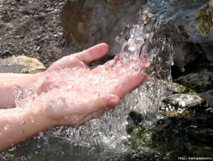 Под Саками реализуют проект по розливу минеральной воды