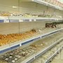 Проблема с продуктами будет решена увеличением количества паромов