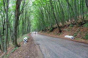 В Крыму реконструируют участок дороги на Ай-Петри