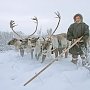 "Командировка в тундру". В.Г. Поздняков рассказал о своих встречах с избирателями в Забайкальском крае