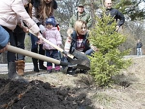 Поклонская посадила ели в крымском заповеднике