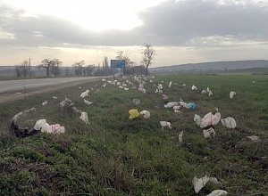 Отбывающих общественные работы направили убирать территорию возле свалки в Феодосии