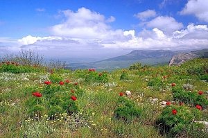 В Крыму солнечно и без осадков