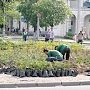 На клумбу на площади Ушакова возвращают розы