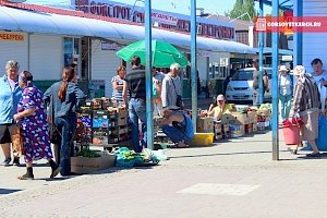 В Керчи становится меньше «стихищийков», — горсовет