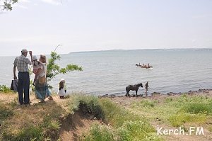 В Керчи на «Черепашке» купались лошади