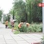 В Керчи парки заросли травой — за покос коммунальщикам не платят