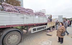 Глав двух сельсоветов в Крыму отстранили от должностей за фиктивные справки для вывоза продовольствия в Россию