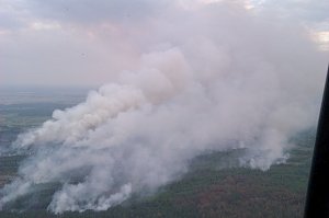 Пожар в зоне отчуждения Чернобыльской АЭС на Крым не повлиял