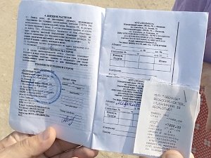 Предприниматели в Тихой бухте считают договор на вывоз мусора документом, разрешающим работу