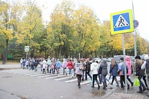 Пешеходные переходы вблизи образовательных организаций находятся на постоянном контроле Госавтоинспекции