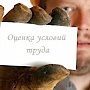 Работодателям Керчи необходимо предоставить результаты спецоценки условий труда