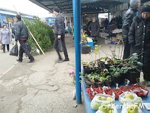 В Керчи началась продажа новогодних елок