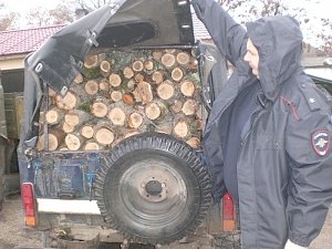 Сотрудниками полиции Кировского района пресечена нарушающая закон деятельность лесорубов