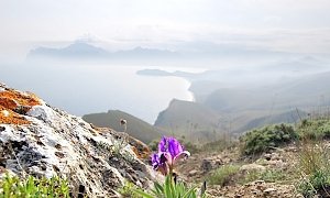 В пятницу в Крыму до 22 градусов тепла, местами дожди