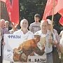 Ярославцы вышли на митинг против НАТО