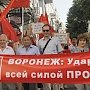 Ударим по НАТО всей силой пролетариата! Акция КПРФ в Воронеже