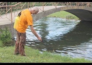 Власти Симферополя начали борьбу с комарами