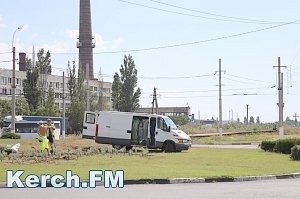 В Керчи на Ворошиловском кольце высаживают кусты