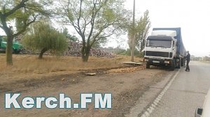 В Керчи по дороге на переправу из фуры высыпались тонны яблок