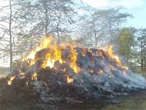 В Горностаевке пожарные тушили пожар почти 5 часов