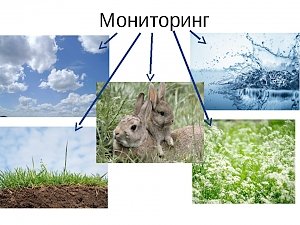 В Крыму предлагают усовершенствовать систему мониторинга окружающей среды