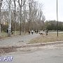 В Керчи не состоялись кинологические соревнования