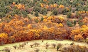 В среду в Крыму до 4 градусов тепла